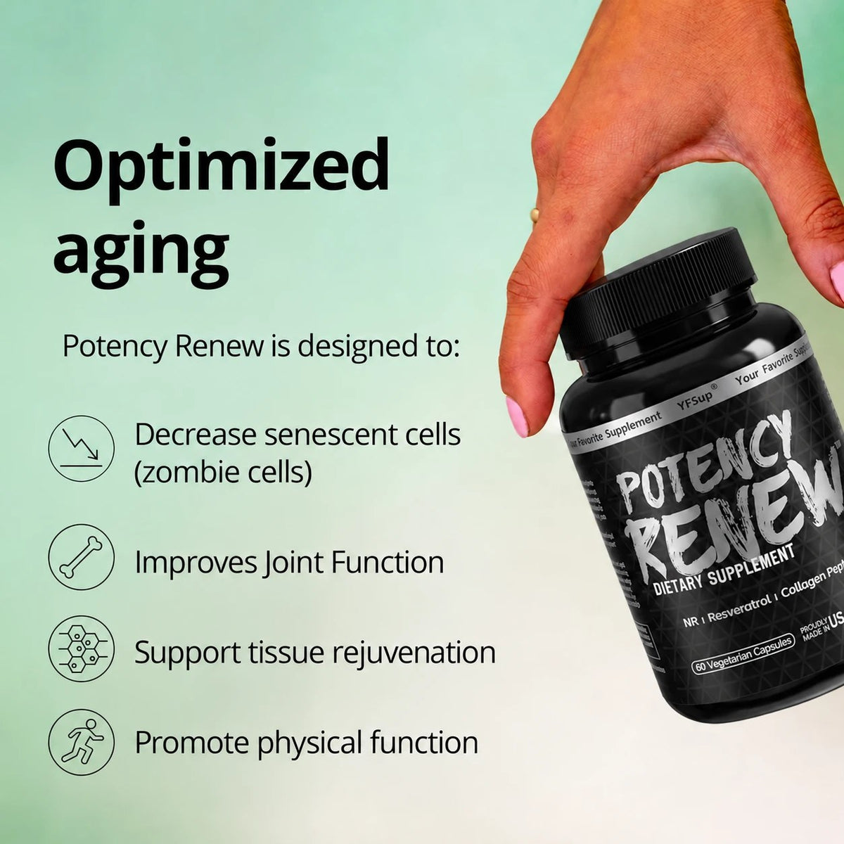 A hand holding Potency Renew beside four benefits: cellular renewal, joint function, tissue support and physical function